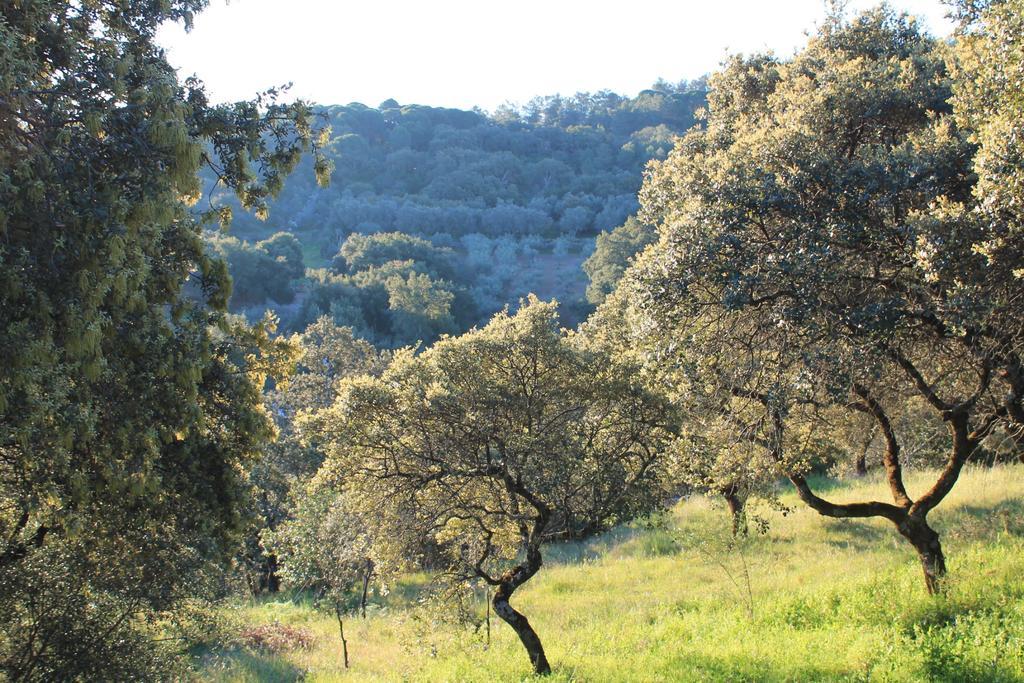 Cabana El Mirador Pedroso de Acim Εξωτερικό φωτογραφία
