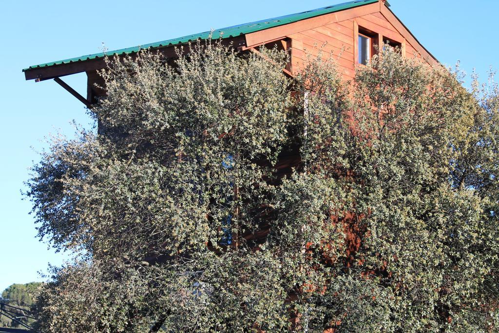 Cabana El Mirador Pedroso de Acim Εξωτερικό φωτογραφία